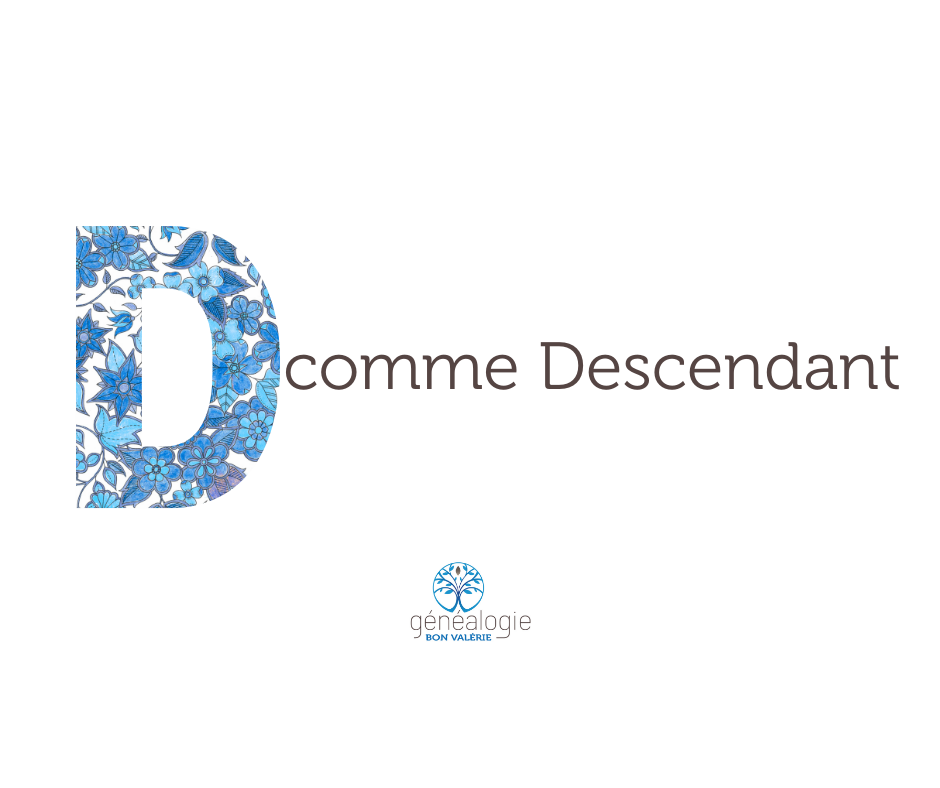ascendant descendant arbre genealogique